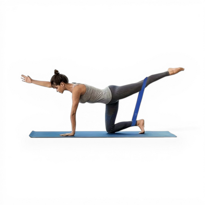 استيك مقاومة دائري